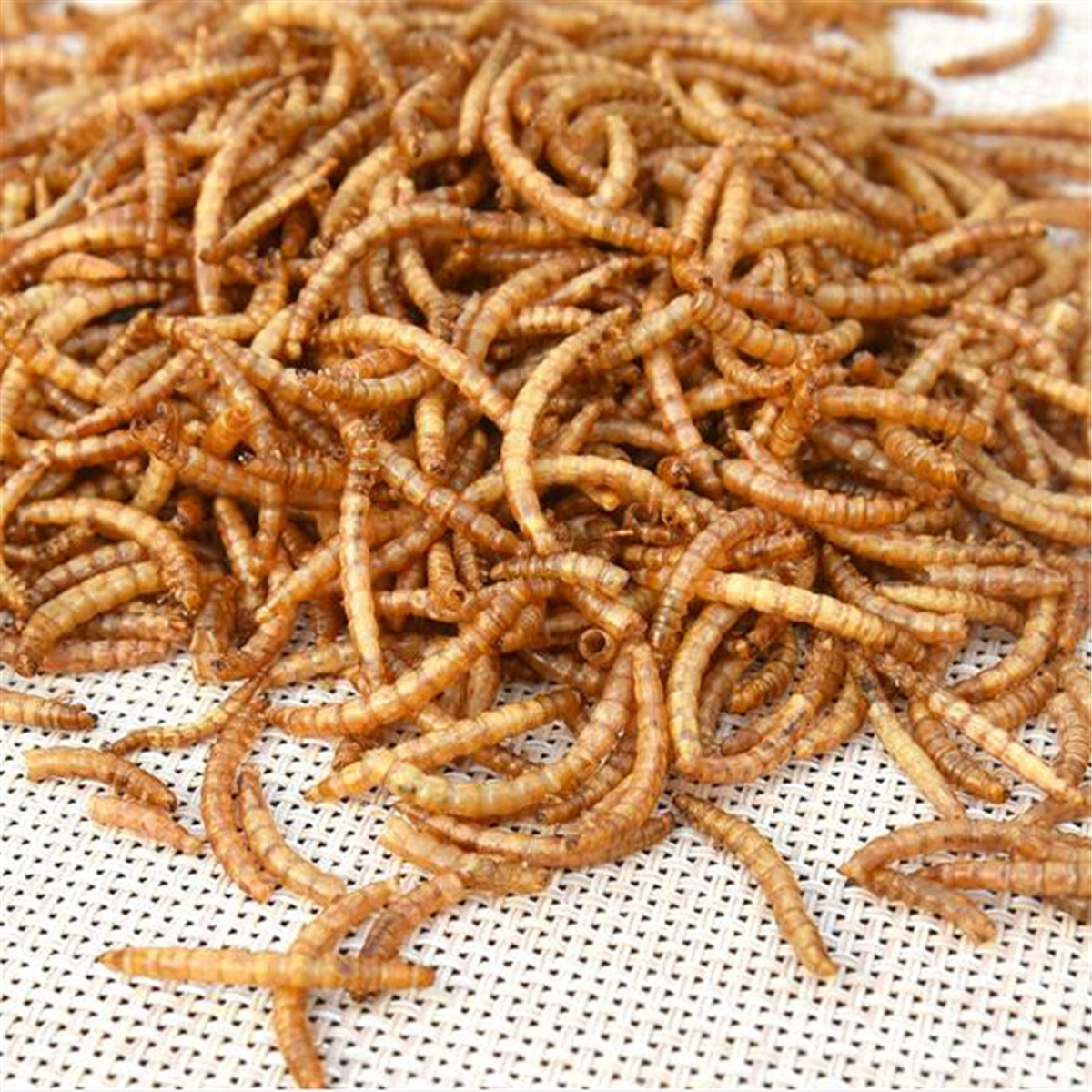 250～1000g Dried Mealworms for Koi, Pond Fish, Large Fish, Turtle, Birds