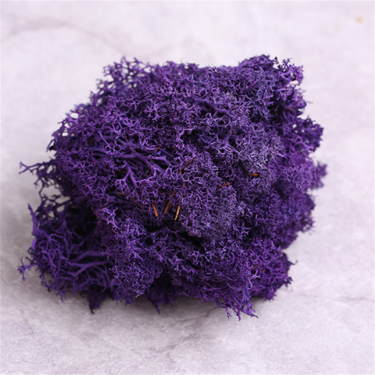 Natural Norwegian Reindeer Moss Preserved Dried Craft Flower Artificial ...